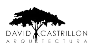 logo-david-c